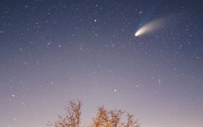 De komeet van Nikki Haley
